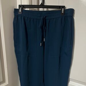 Ann Taylor Women's Deep Teal Joggers